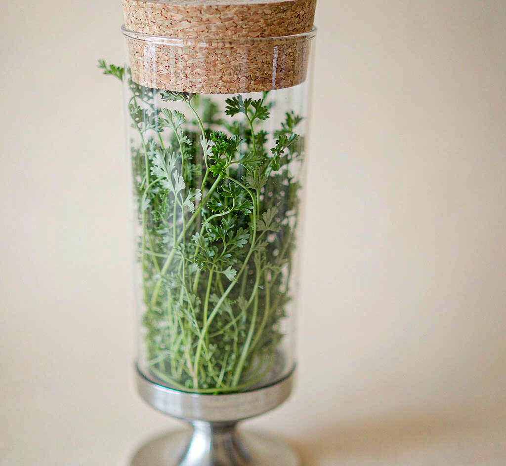 Slice Herb Keeper — detail