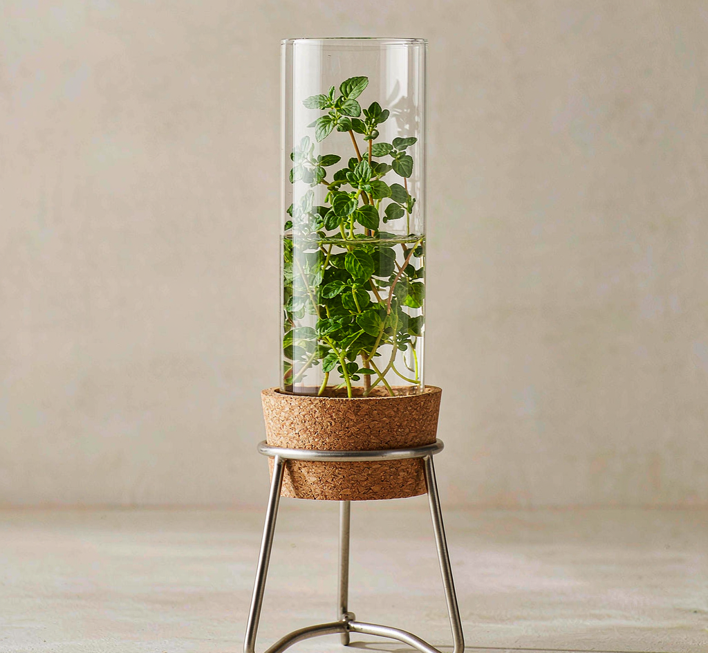 Slice Herb Keeper — main