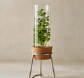 Slice Herb Keeper — main